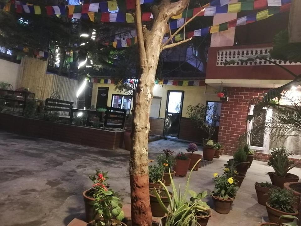 Nirvana Green Peace Home Kathmandu Buitenkant foto
