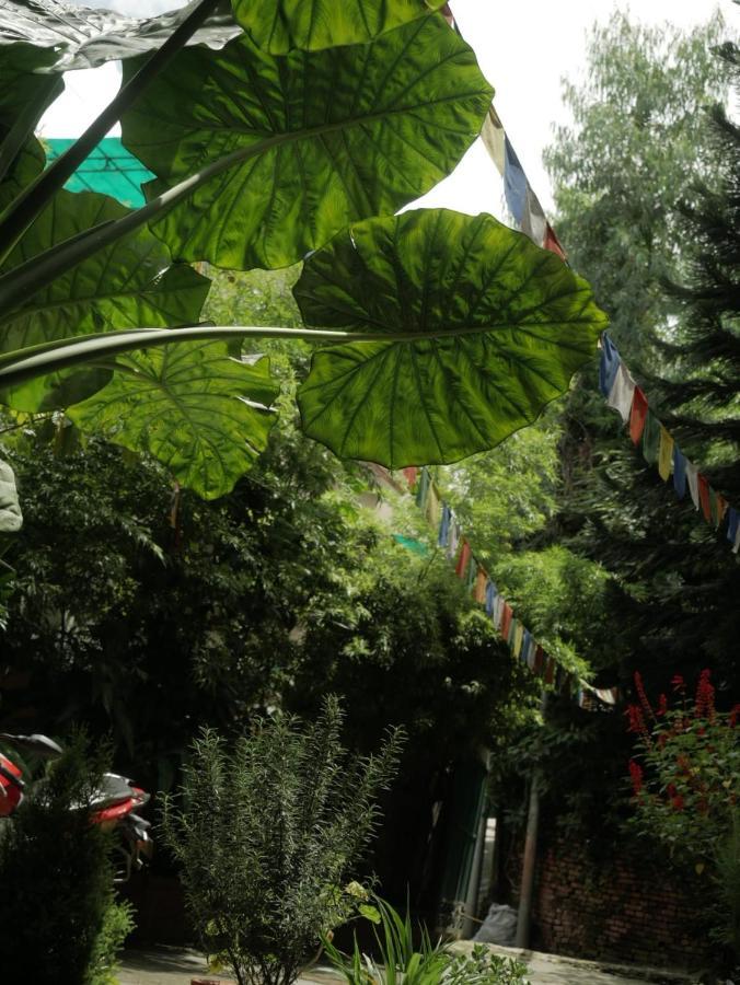 Nirvana Green Peace Home Kathmandu Buitenkant foto