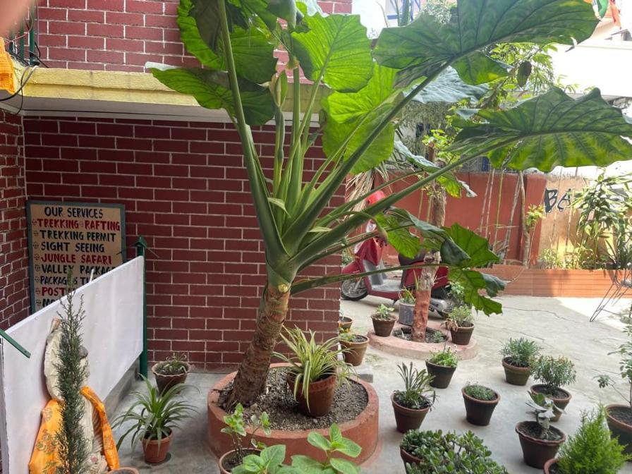 Nirvana Green Peace Home Kathmandu Buitenkant foto