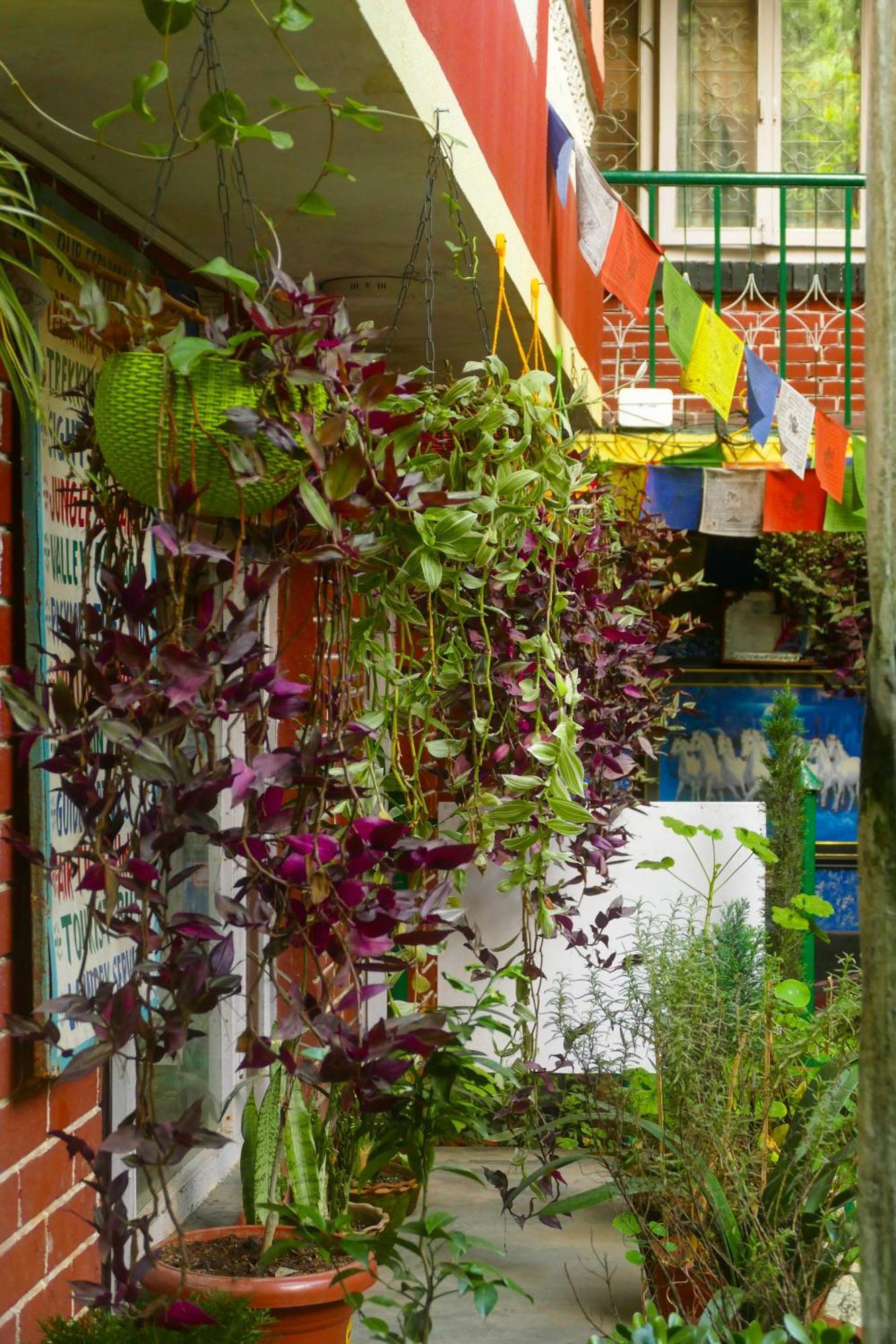 Nirvana Green Peace Home Kathmandu Buitenkant foto