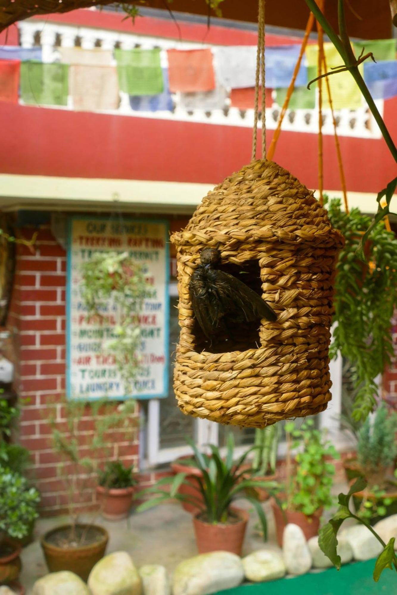 Nirvana Green Peace Home Kathmandu Buitenkant foto